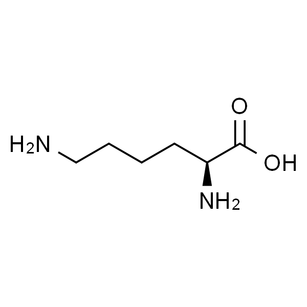 CAS：56-87-1|L-赖氨酸