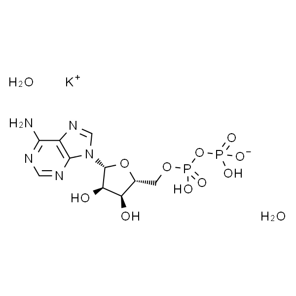 CAS: 72696-48-1|腺苷-5'-二磷酸单钾盐二水合物
